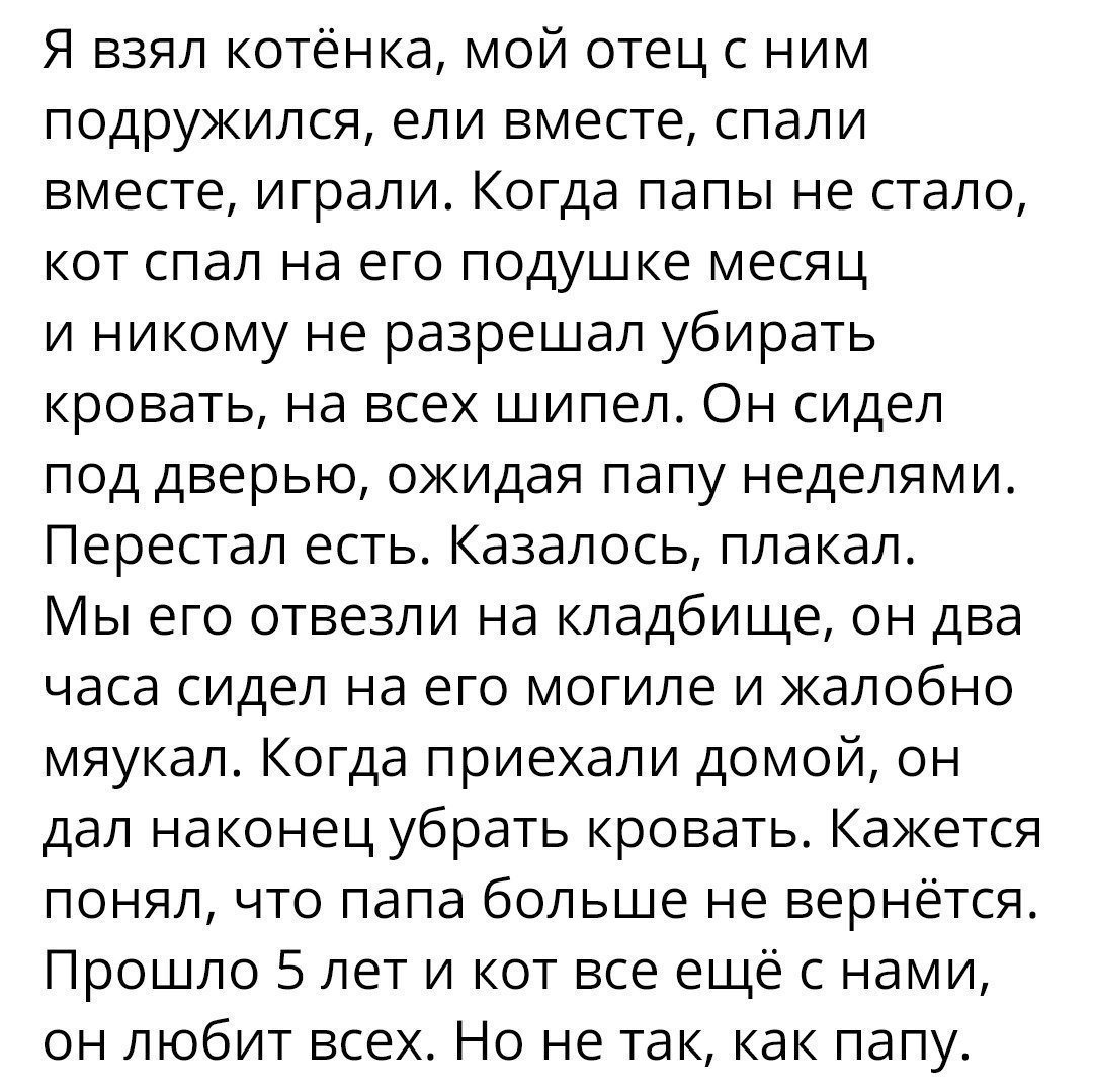 Анекдот про культурные традиции