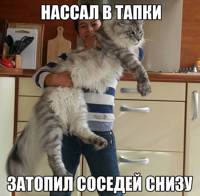 Очень смешное окончание