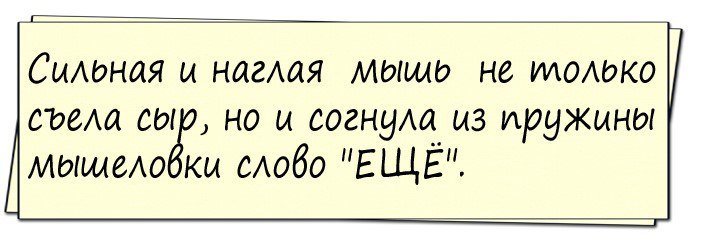 Анекдоты дня