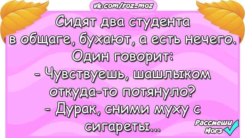 Анекдоты дня
