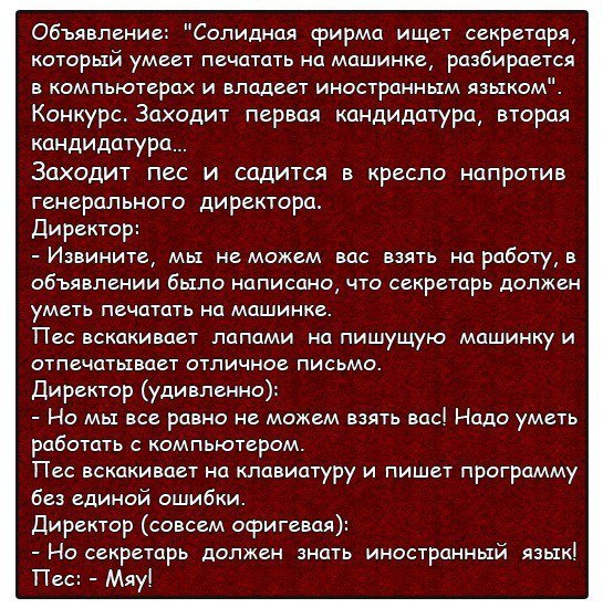 От смеха уже болит живот!
