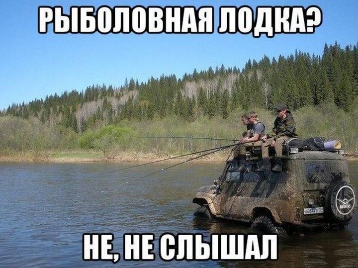 Очень тонкое рассуждение бабули
