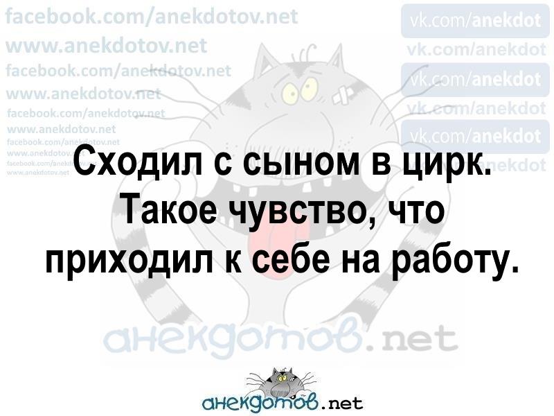 Лучшие анекдоты