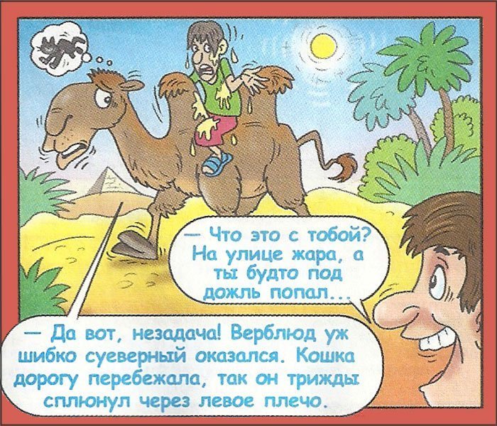 Подборка невероятно смешных анекдотов!
