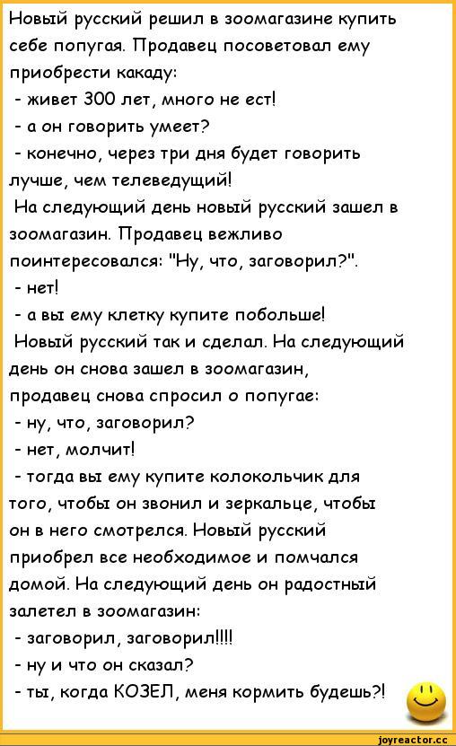 Анекдот про мужика в арабской стране