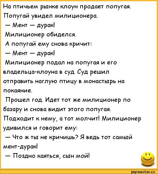 Подборка невероятно смешных анекдотов!