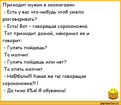 Я смеялся до слез от ответа