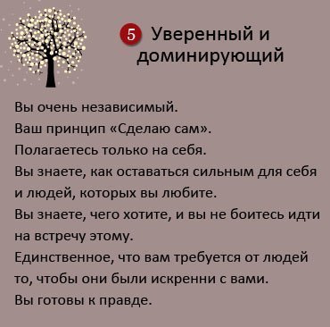 Выберите одно дерево, которое нравится больше всего и узнайте больше о себе