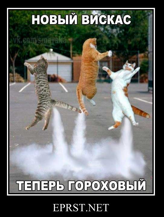 Топ подборка анекдотов!