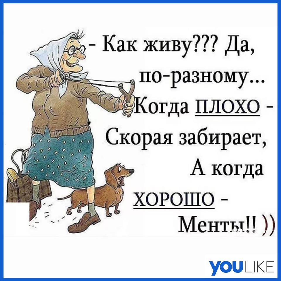 Я смеялся до слез от ответа