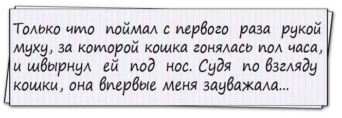 Очень смешные анекдоты