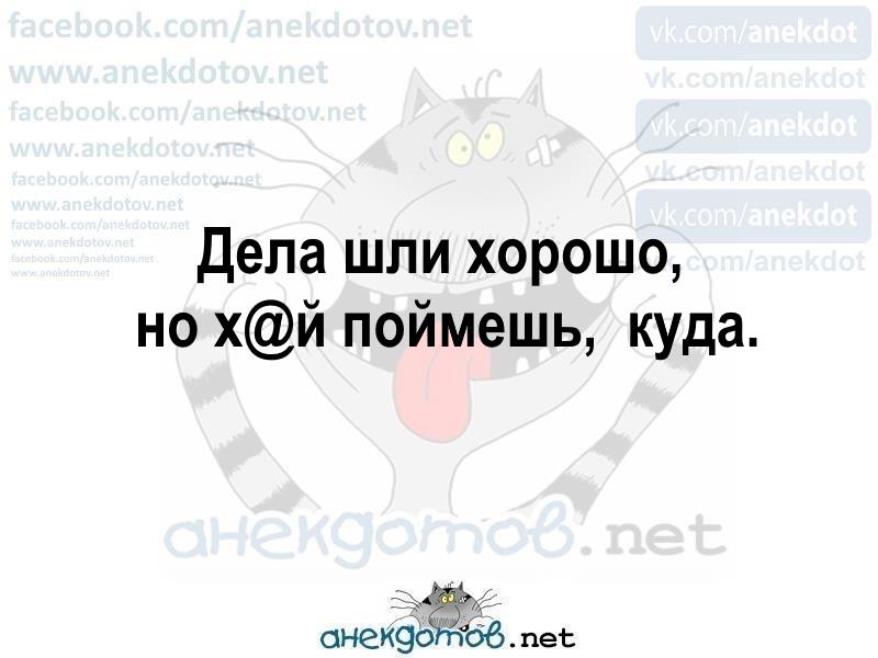 Лучшие анекдоты