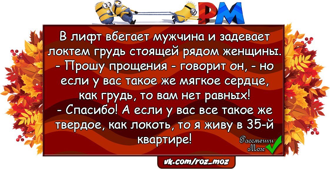 Хорошие анекдоты