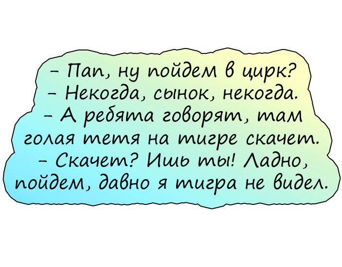 Анекдоты дня