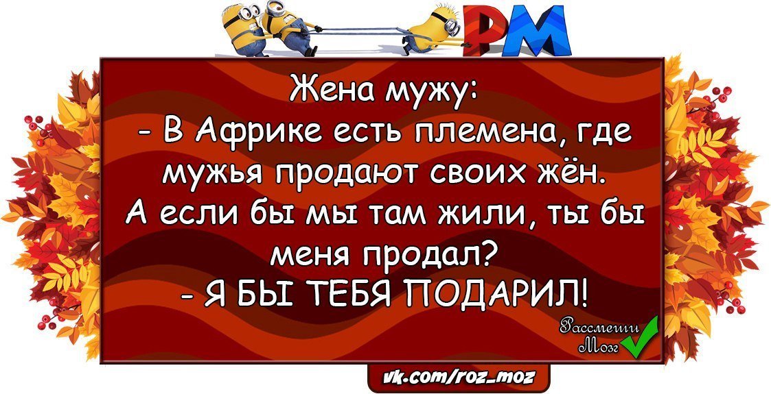 Анекдоты дня