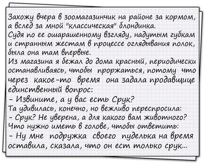 Анекдоты дня