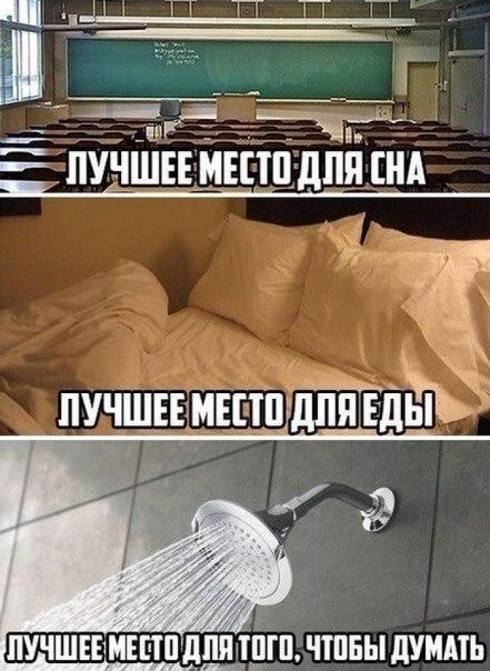 Лучшие анекдоты прошедшего лета!