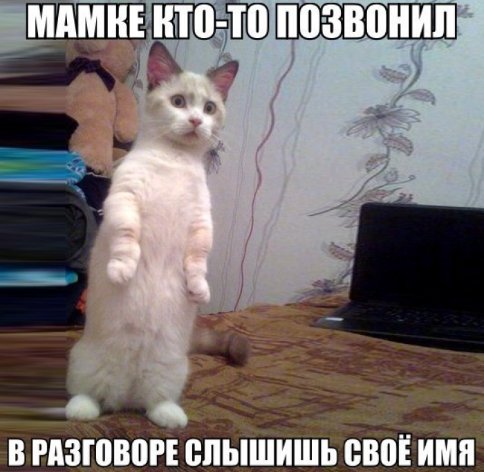 Лучшие анекдоты прошедшего лета!