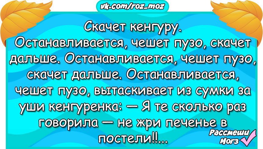 Анекдоты дня