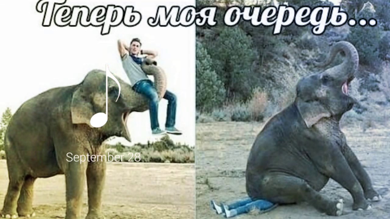 Обхохочешься!))