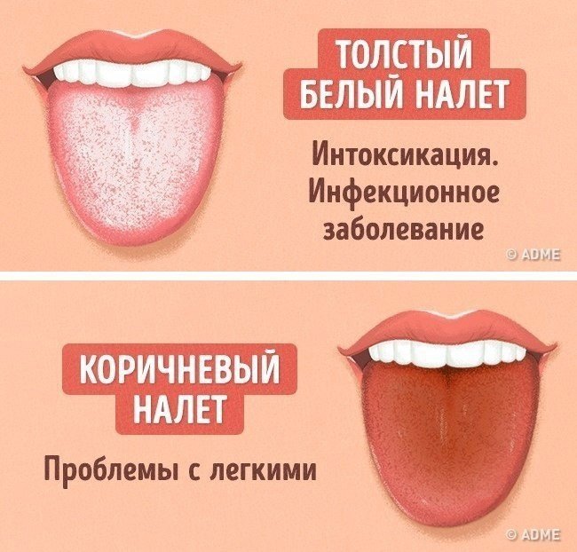 О чём может рассказать цвет нашего языка