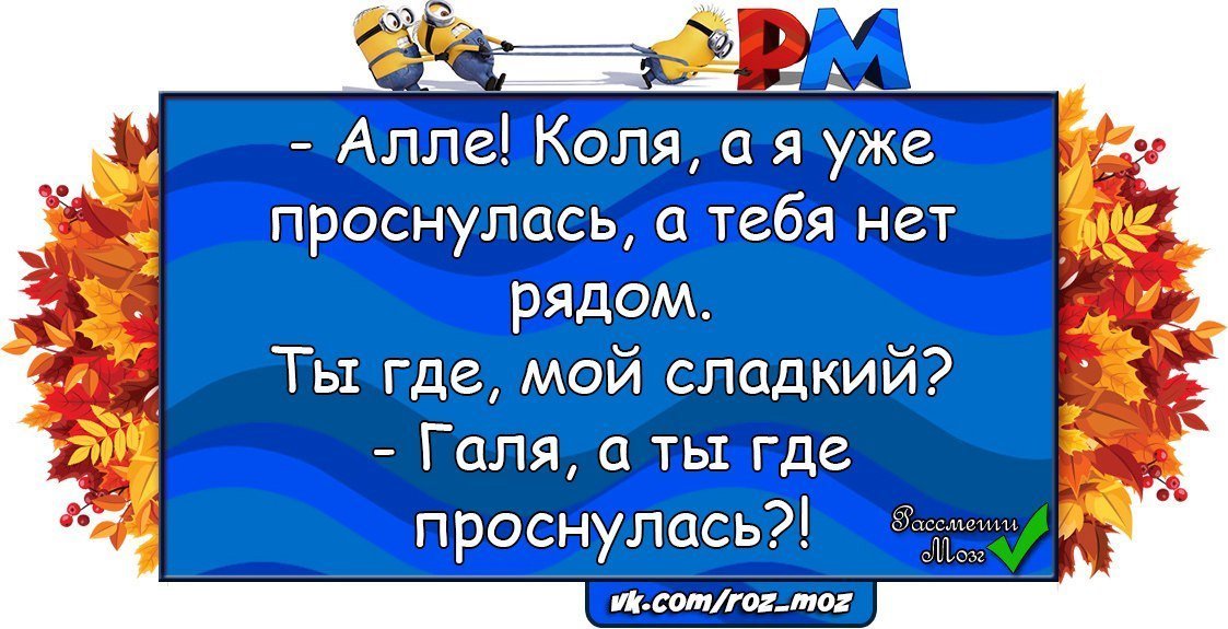 Анекдоты дня