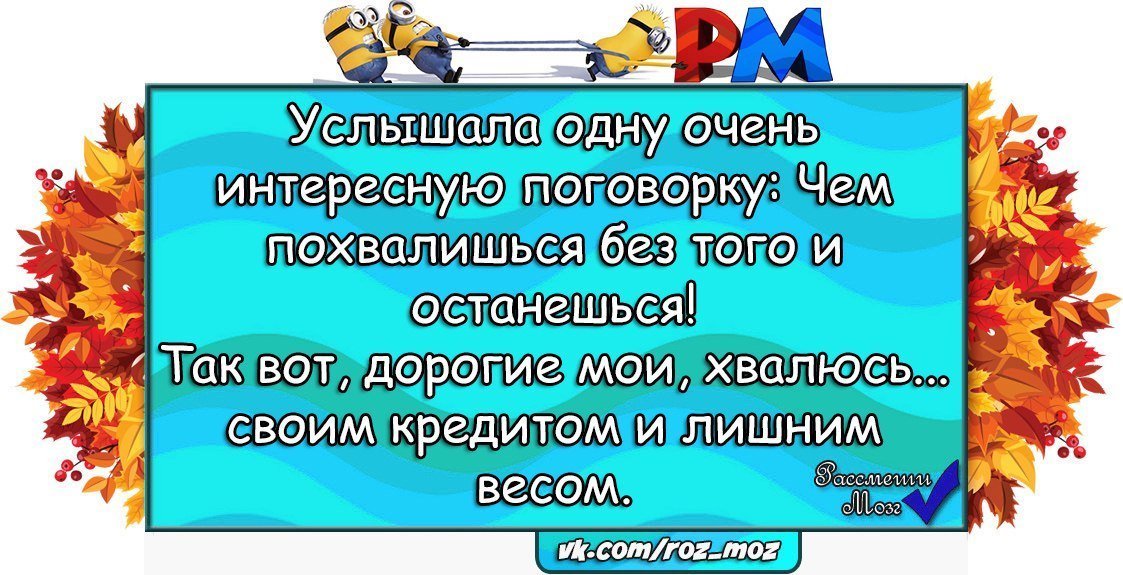 Анекдоты дня