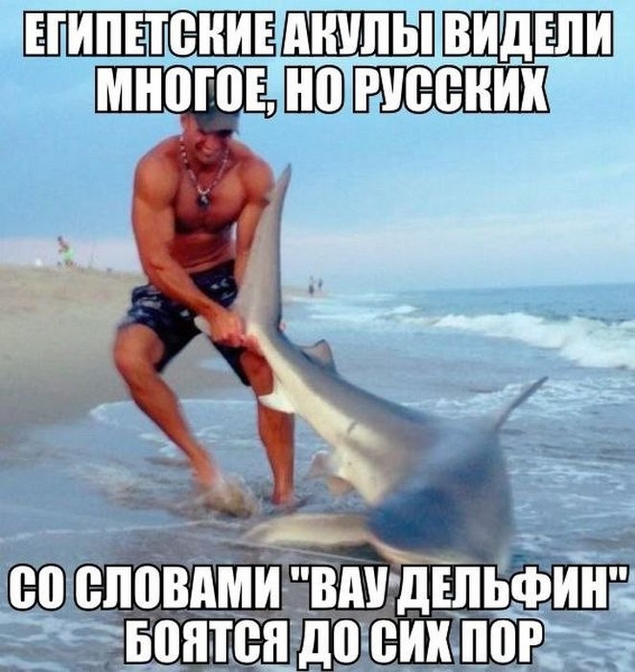 Самые лучшие анекдоты!