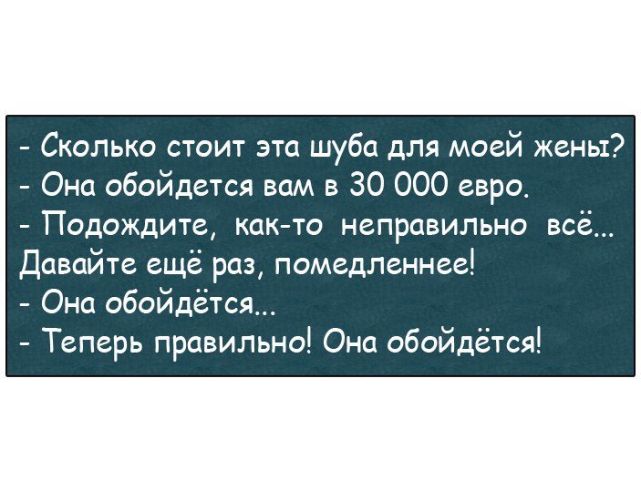 Анекдоты дня
