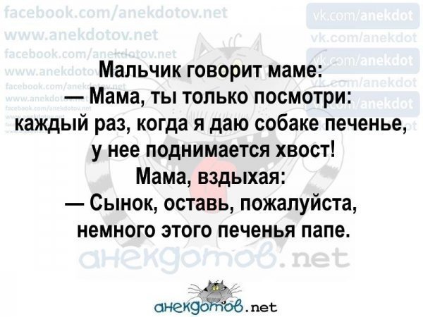 Очень смешные анекдоты