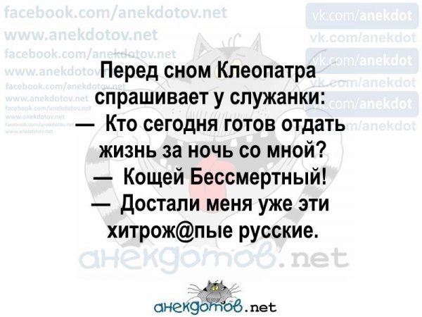 Из жизни садоводов и дачников
