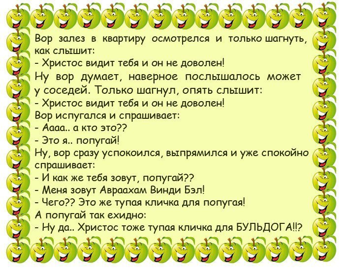 Анекдоты дня