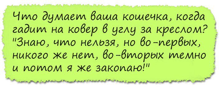 Немного о мужских отмазках