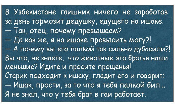 Отличные анекдоты