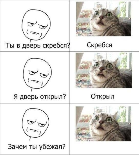 Анекдоты