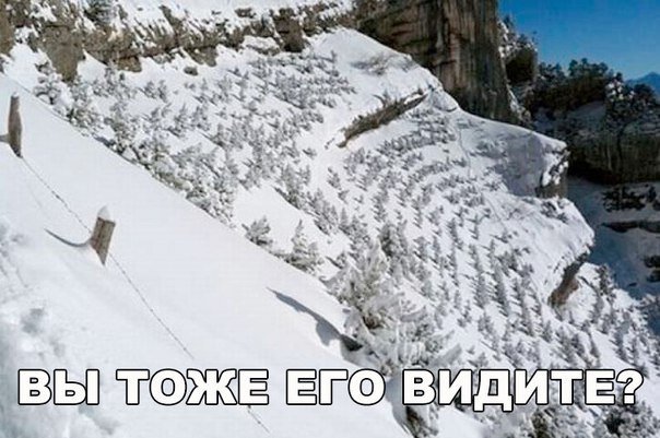 Порция отменного юмора