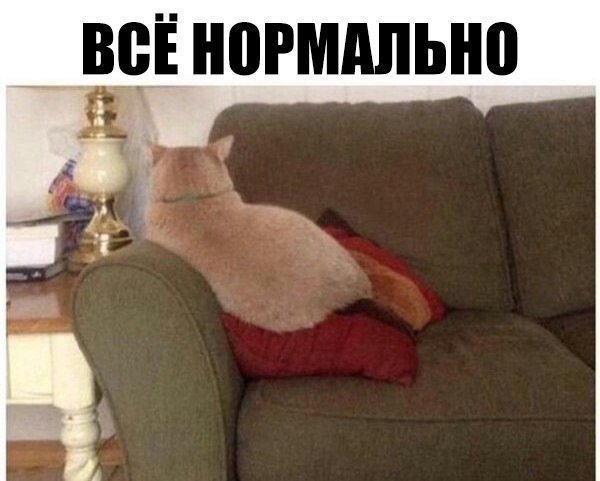 Анекдоты дня