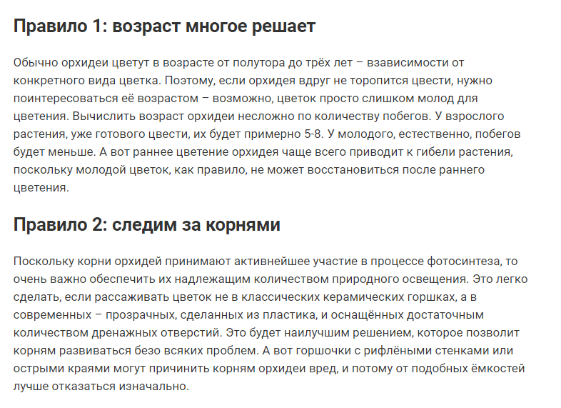 9 правил, благодаря которым орхидея будет цвести круглый год