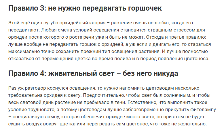 9 правил, благодаря которым орхидея будет цвести круглый год