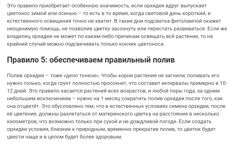 9 правил, благодаря которым орхидея будет цвести круглый год