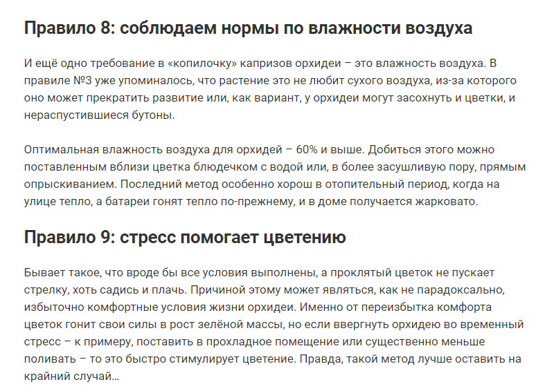 9 правил, благодаря которым орхидея будет цвести круглый год