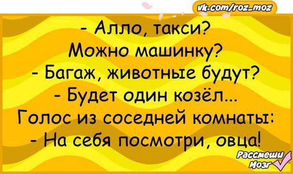 Анекдоты дня