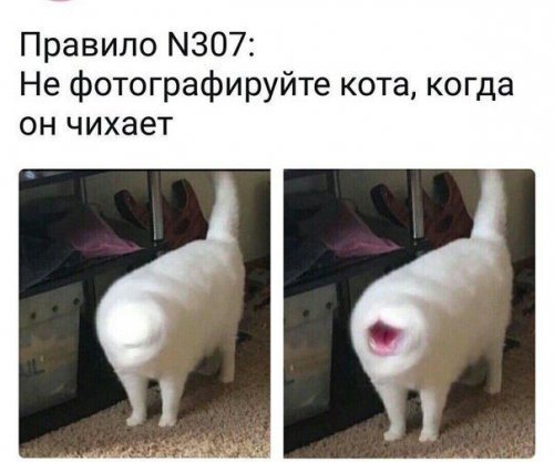 Анекдоты дня