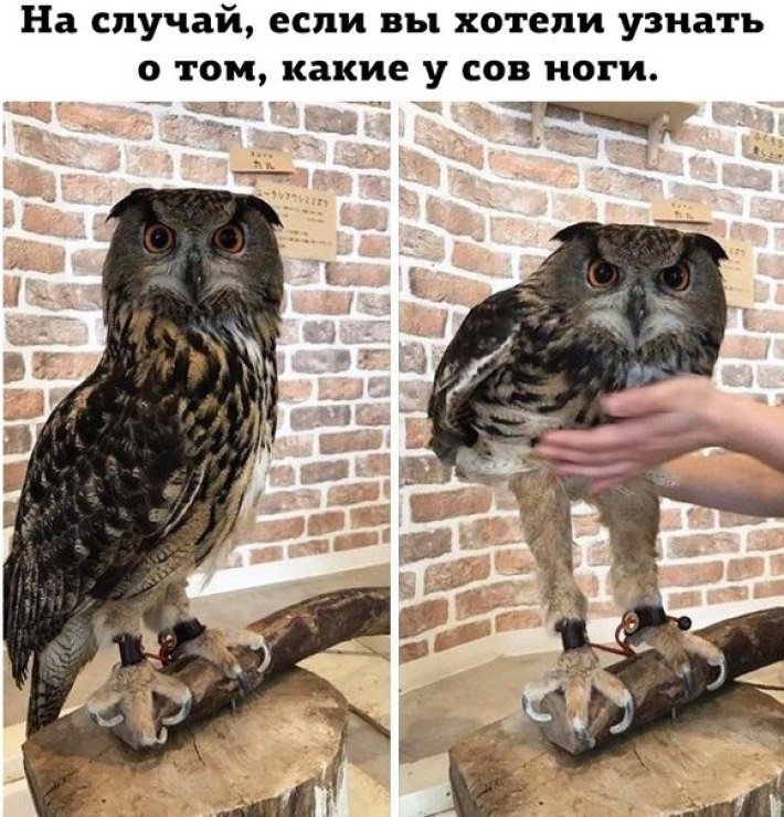 Анекдоты дня