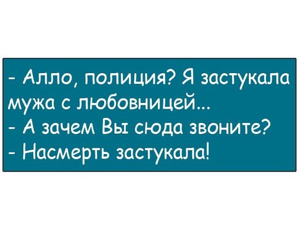Анекдоты дня