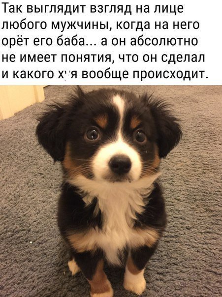 Анекдоты дня