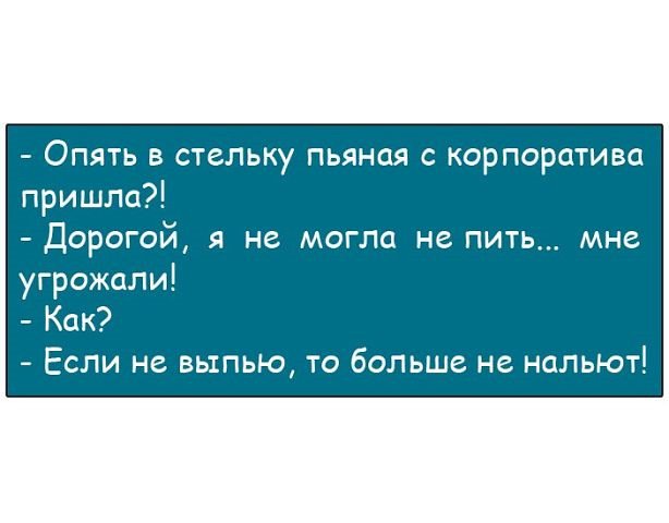 Анекдоты дня