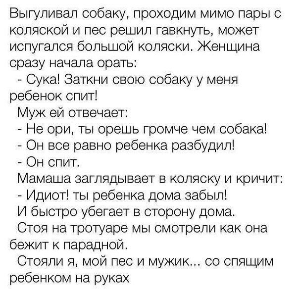 Анекдоты дня
