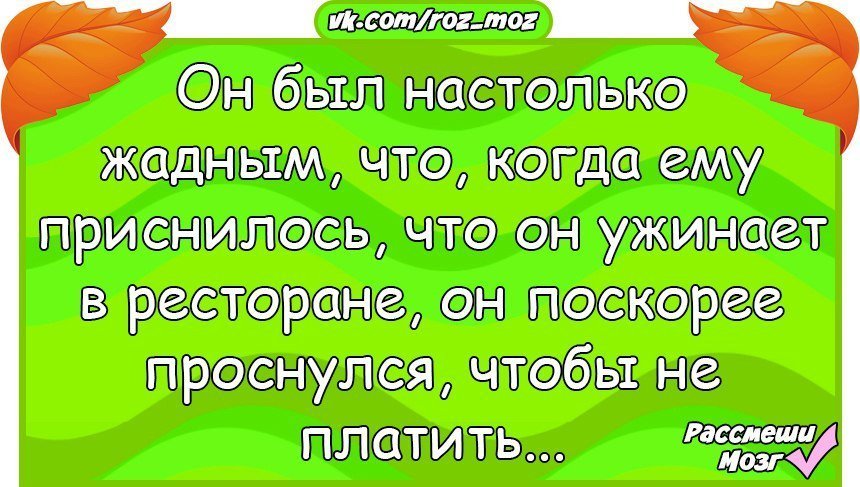 Анекдоты дня
