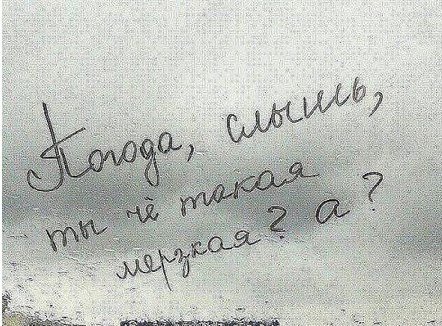 Анекдоты дня